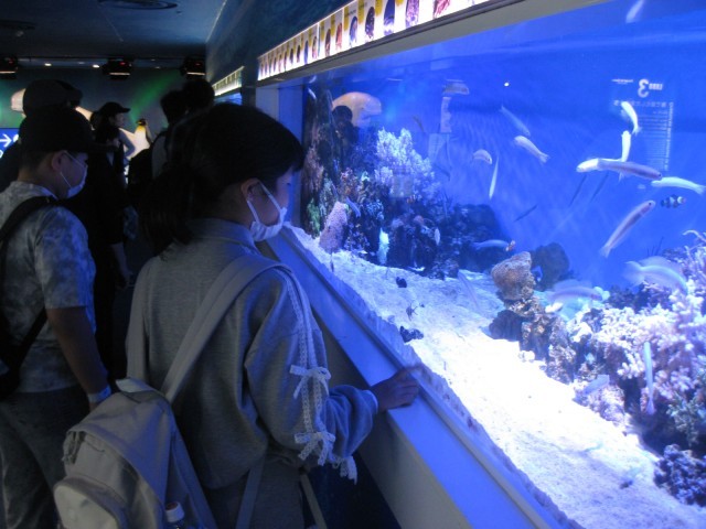 水族館