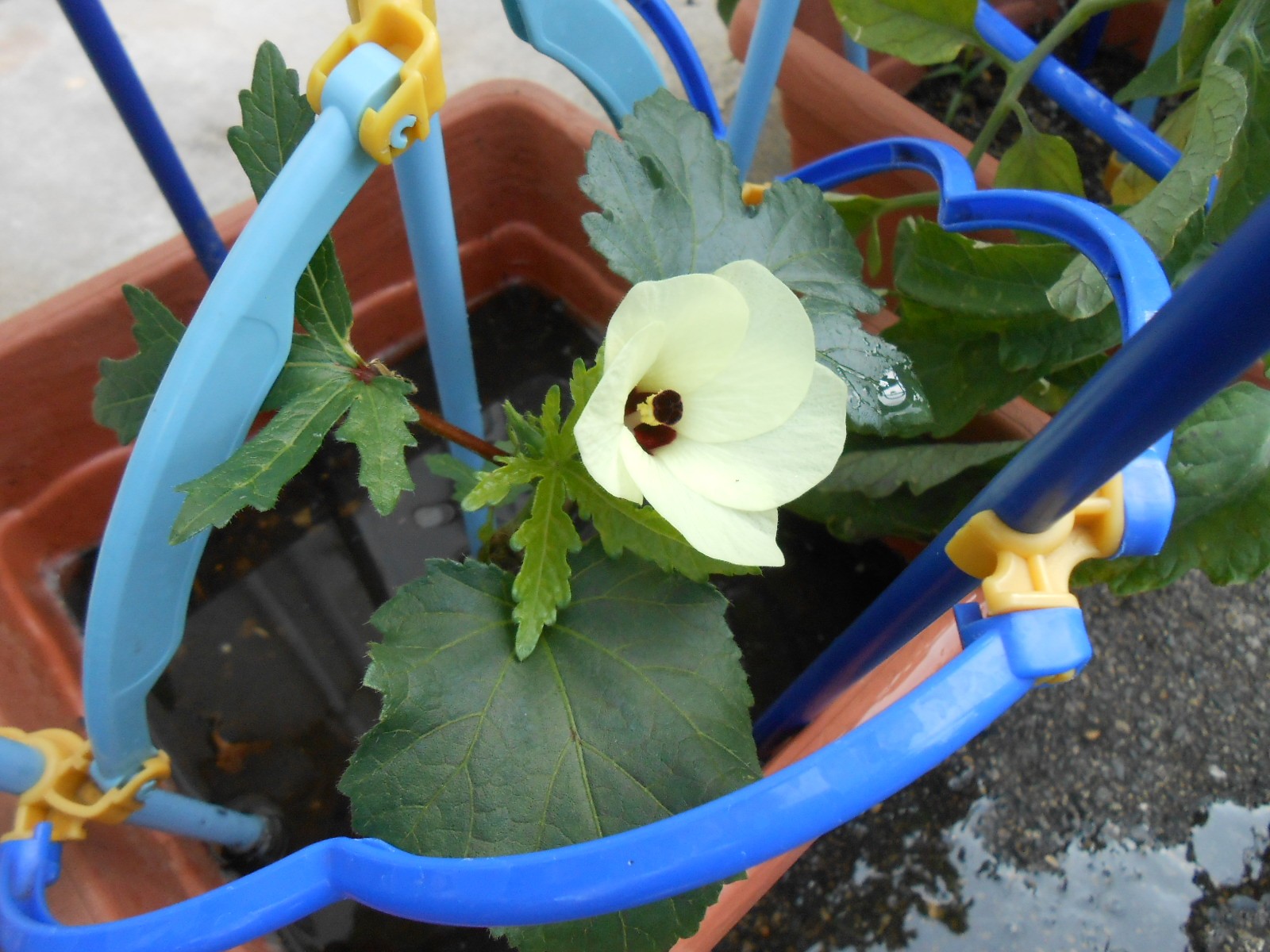 DSCN4808.JPG