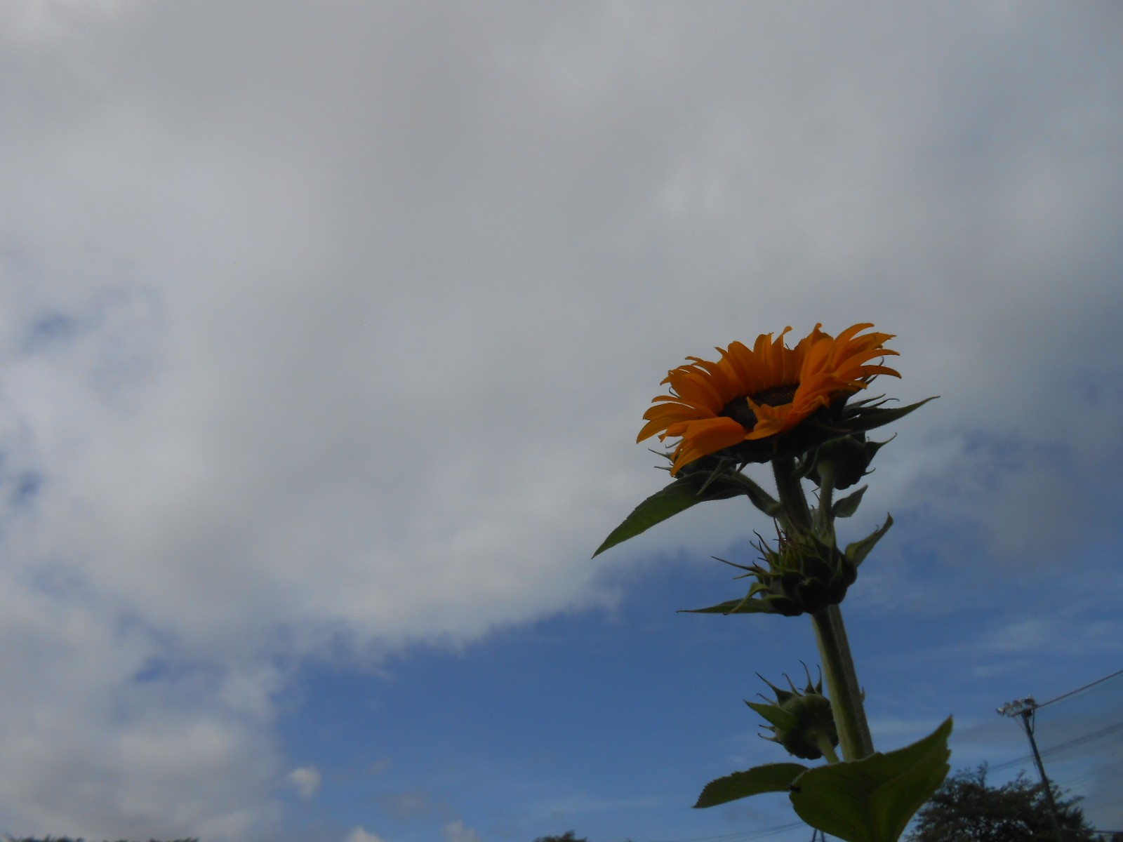 DSCN5817.JPG