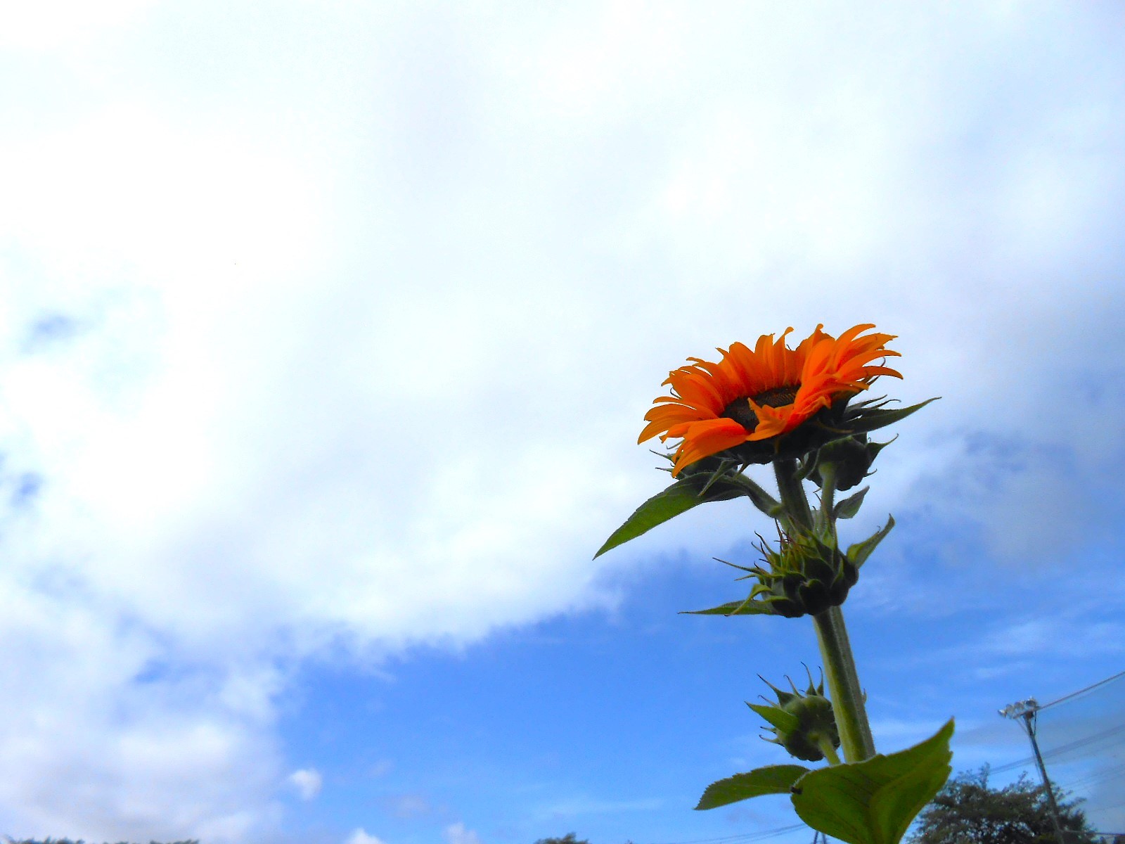 DSCN5817.JPG